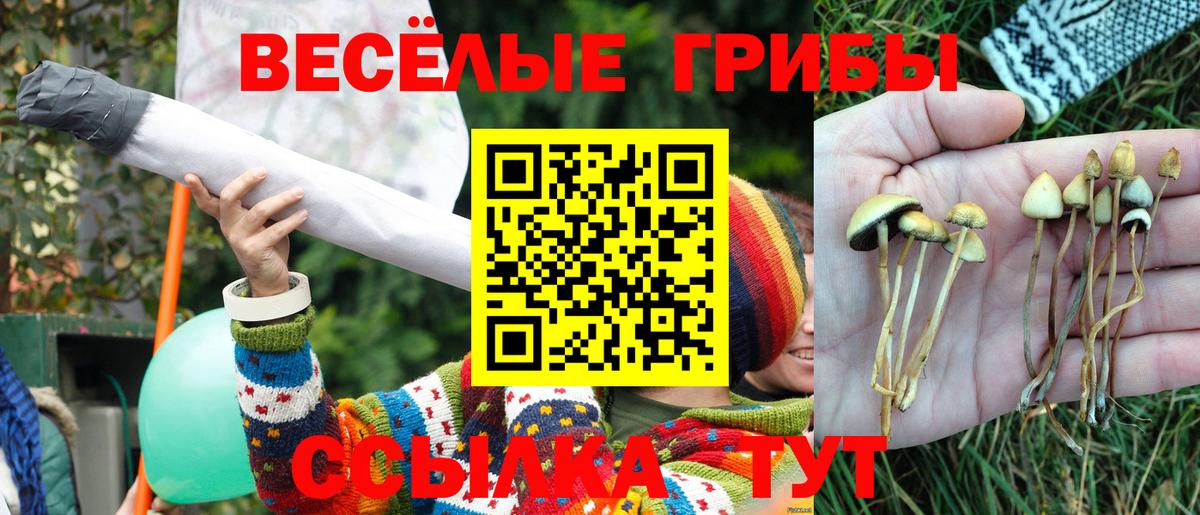 Галлюциногенные грибы мицелий Сергиев Посад